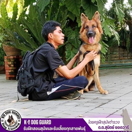 ศูนย์ฝึกสุนัข K9