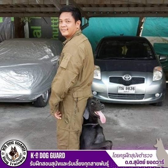 โรงเรียนฝึกสุนัข ใกล้ฉัน ราคา