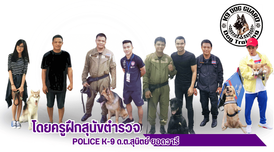 รับฝึกสอนสุนัขและรับเลี้ยงทุกสายพันธุ์