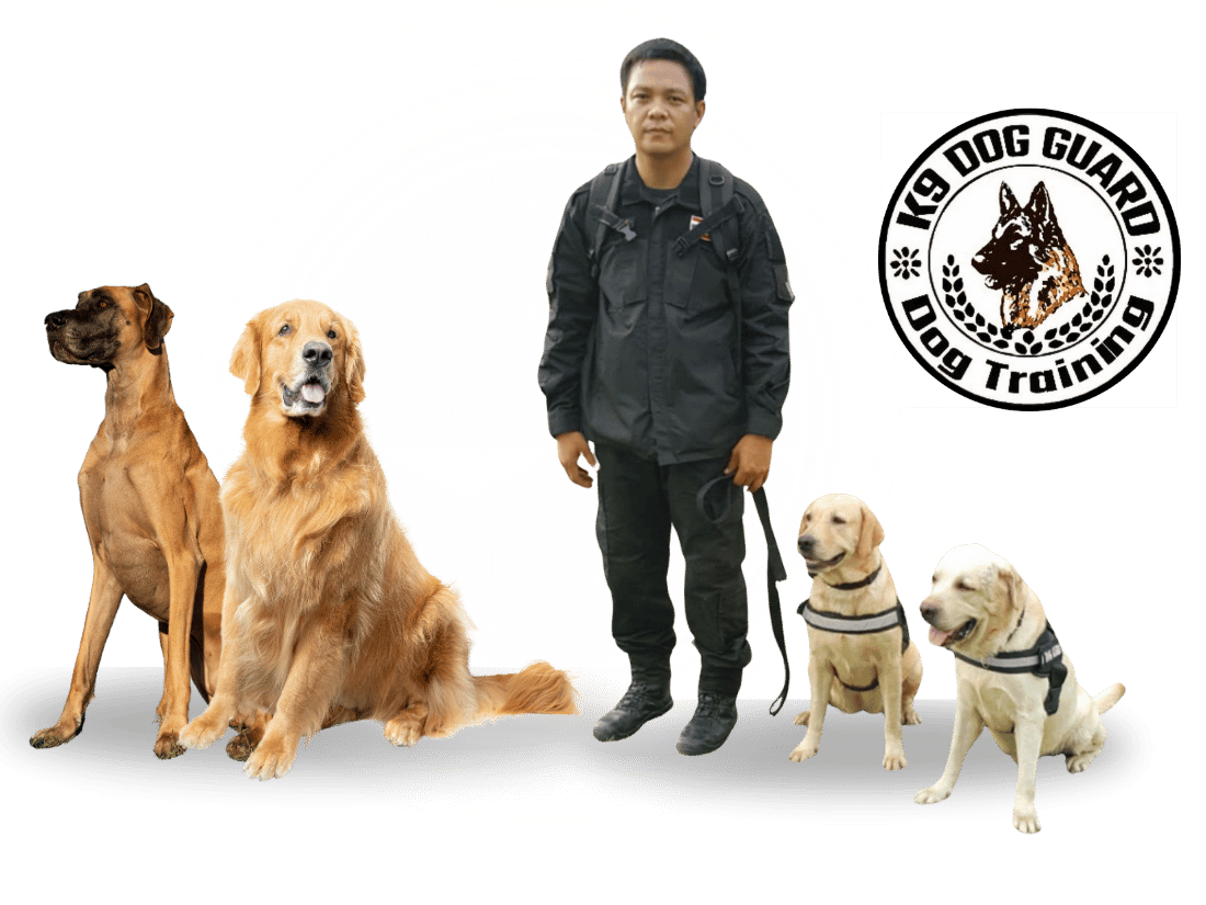 Sunit k-9 dog training โดยครูฝึกสุนัขตำรวจ