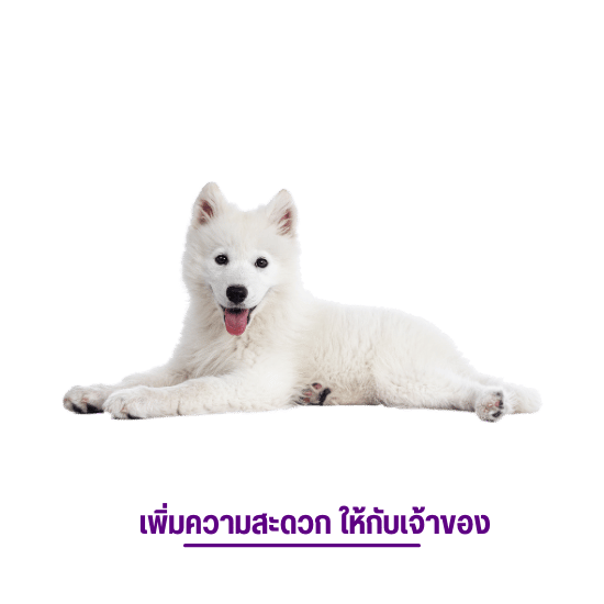 สะดวกสบาย ประหยัดเวลา สะดวกสบาย ประหยัดเวลา