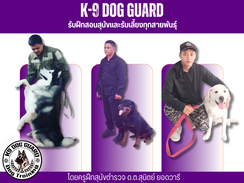 ฝึกสุนัขมาตรฐาน K-9 บ้านหลังที่สองสำหรับสุนัขที่คุณรัก