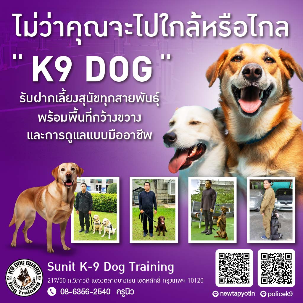 M80035242-03-รับฝากเลี้ยงสุนัขทุกสายพันธุ์-ทั้งรายวันและรายเดือน